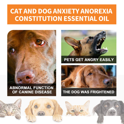 Cat And Dog Care Essence, Pet Cat And Dog Enhance Health Eat Care Sesame Seed Oil Essence