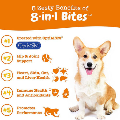 Pet Vitamin Health Product: Multi-Functional Nutritional Supplement for Dogs
